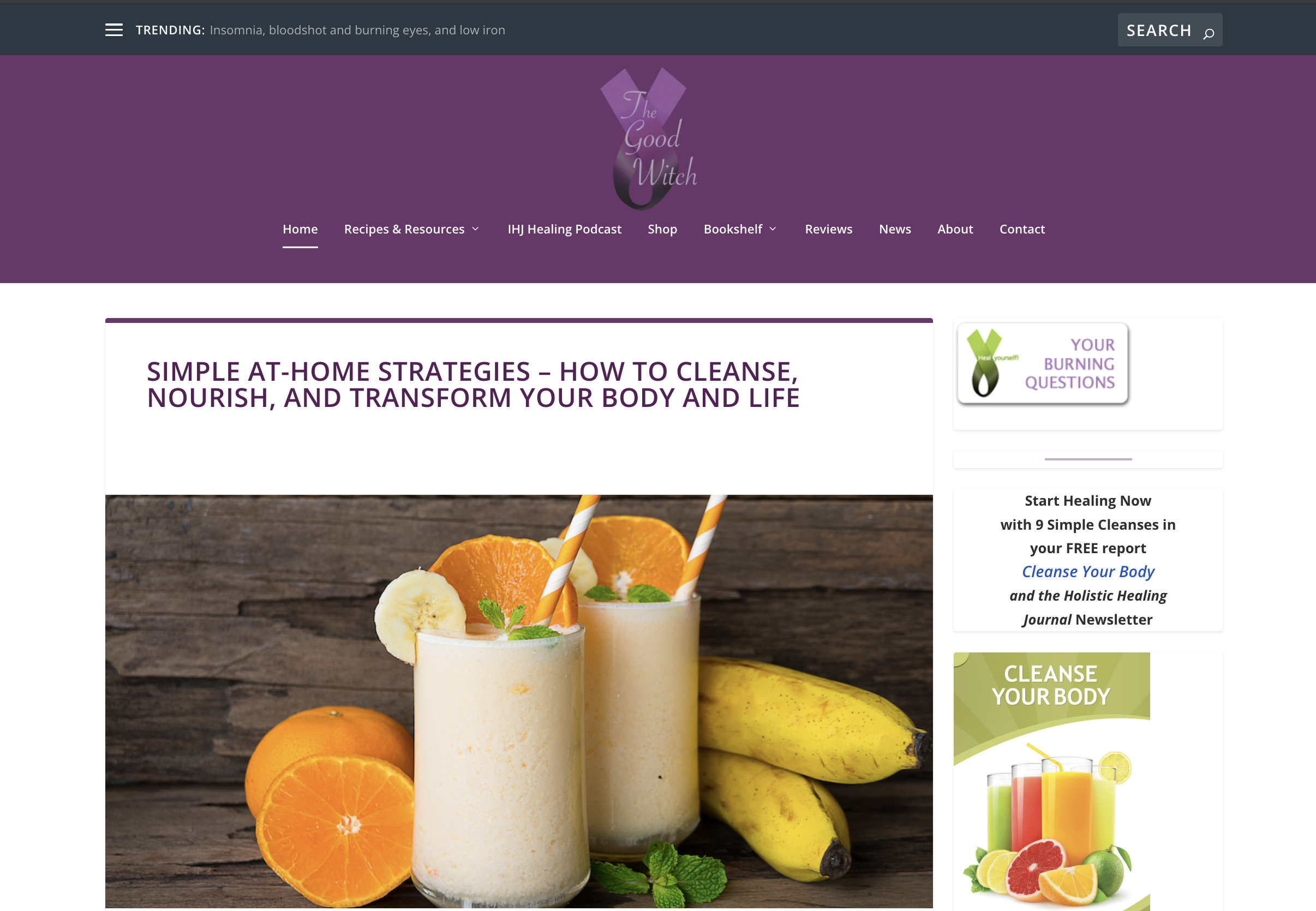 TheGoodWitch.ca Holistic Nutrition screenshot of home page TheGoodWitch.ca Holistic Nutrition screenshot of home page