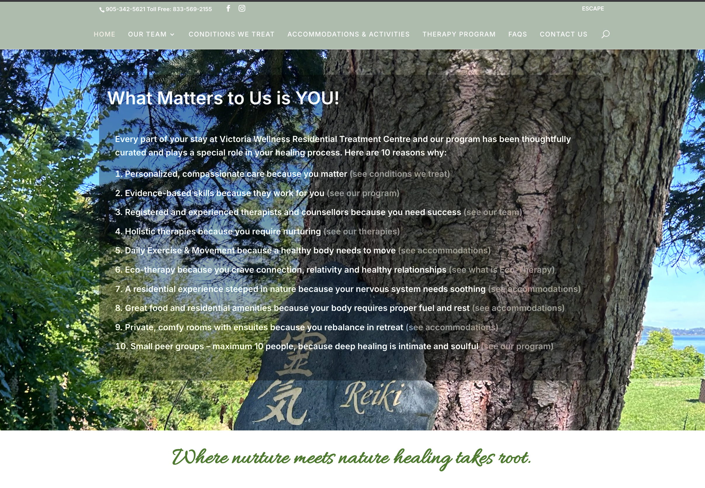 VictoriaWellness.ca Overlay VictoriaWellness.ca Overlay